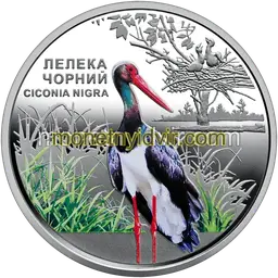 Chornobyl. Revival. Black stork