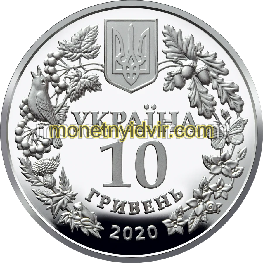 Совка розкішна
