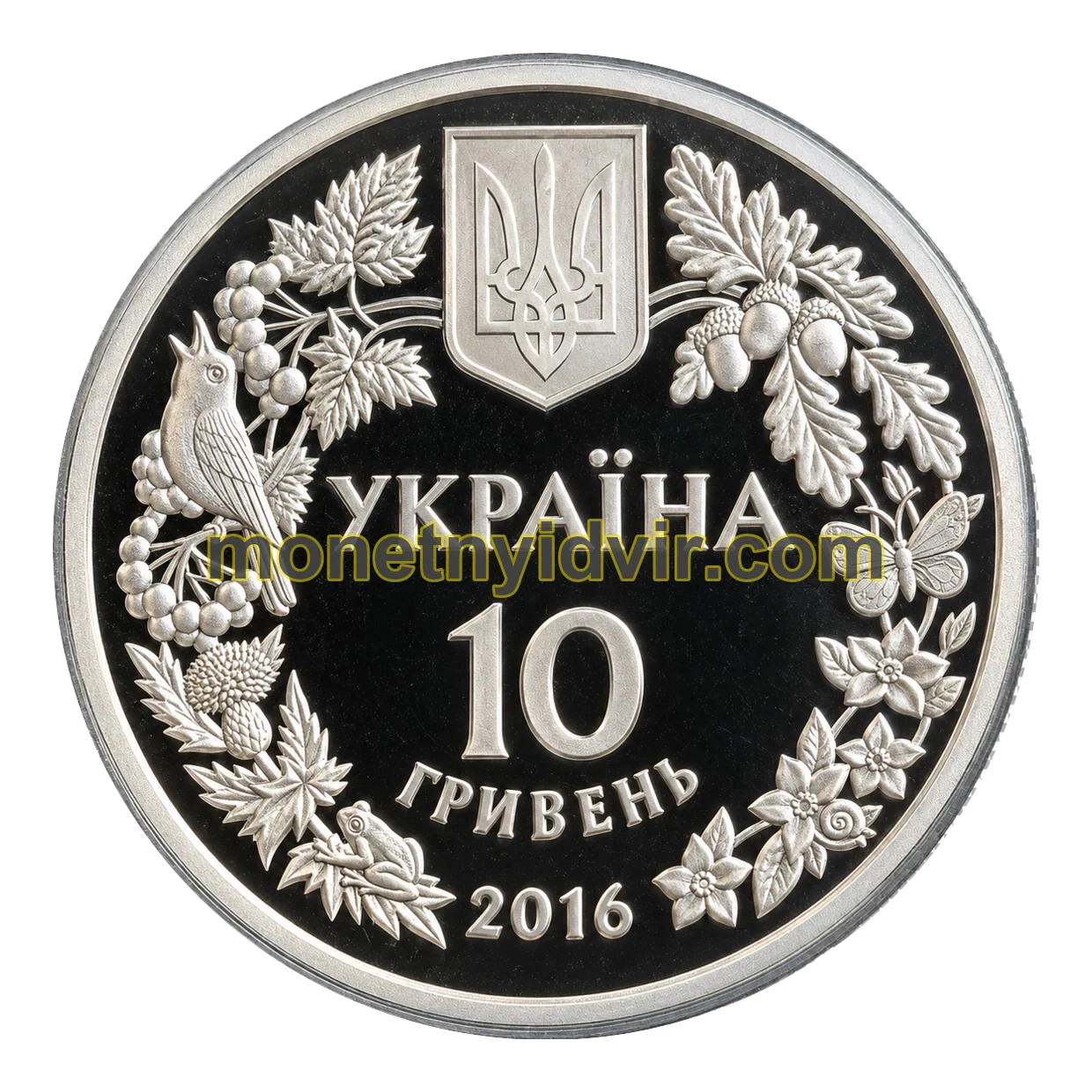 Зозулині черевички справжні