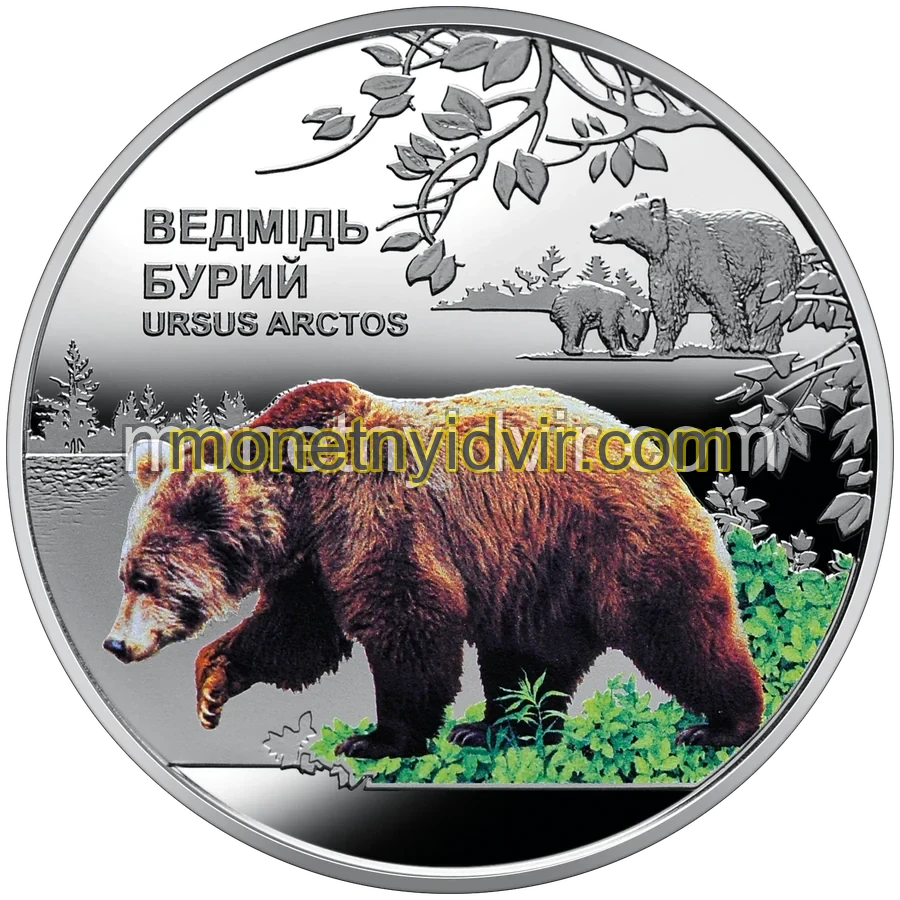 Чорнобиль. Відродження. Ведмідь бурий