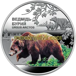 Chornobyl. Revival. Brown bear