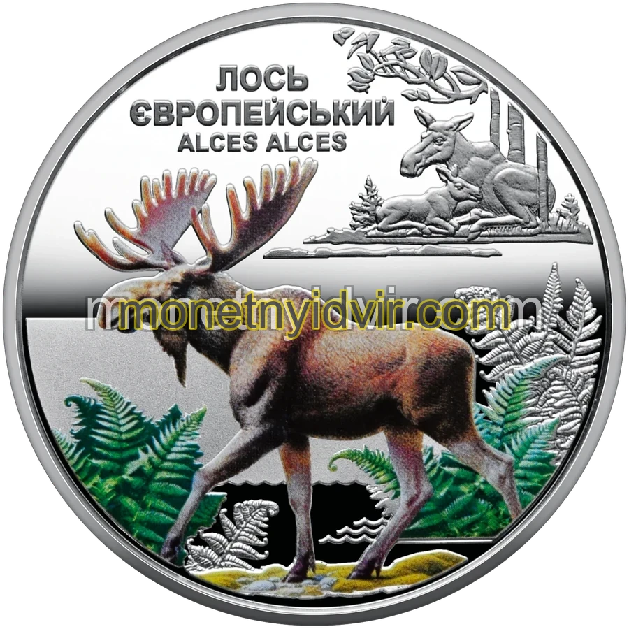 "Чорнобиль. Відродження. Лось європейський"