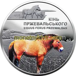 Chornobyl. Revival. Przewalski's horse