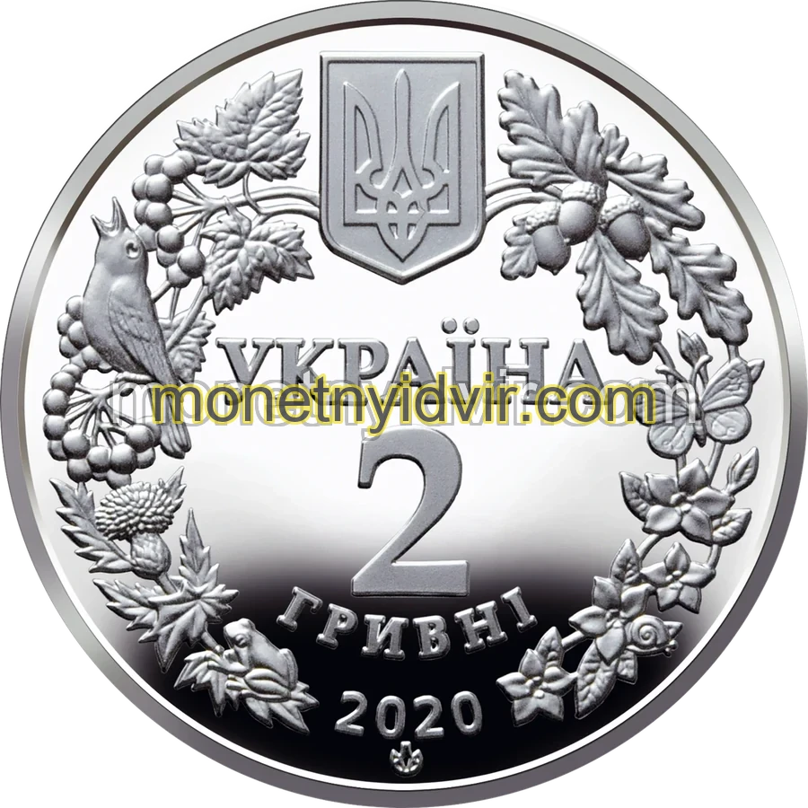 Совка розкішна