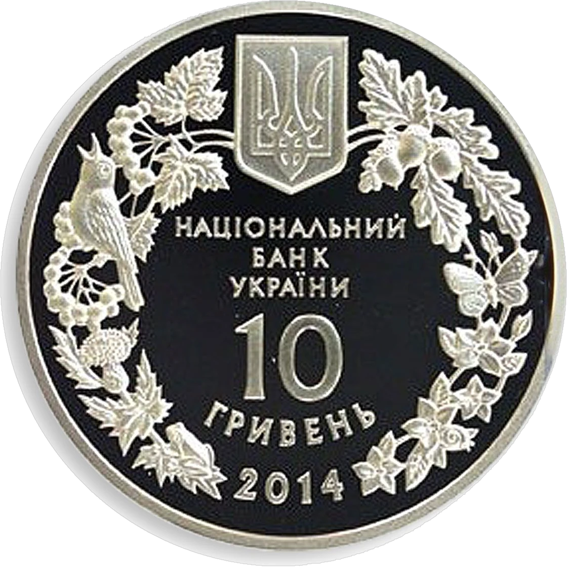 Цикламен коський (Кузнецова)