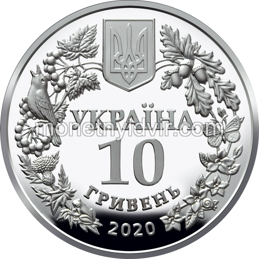 Совка розкішна