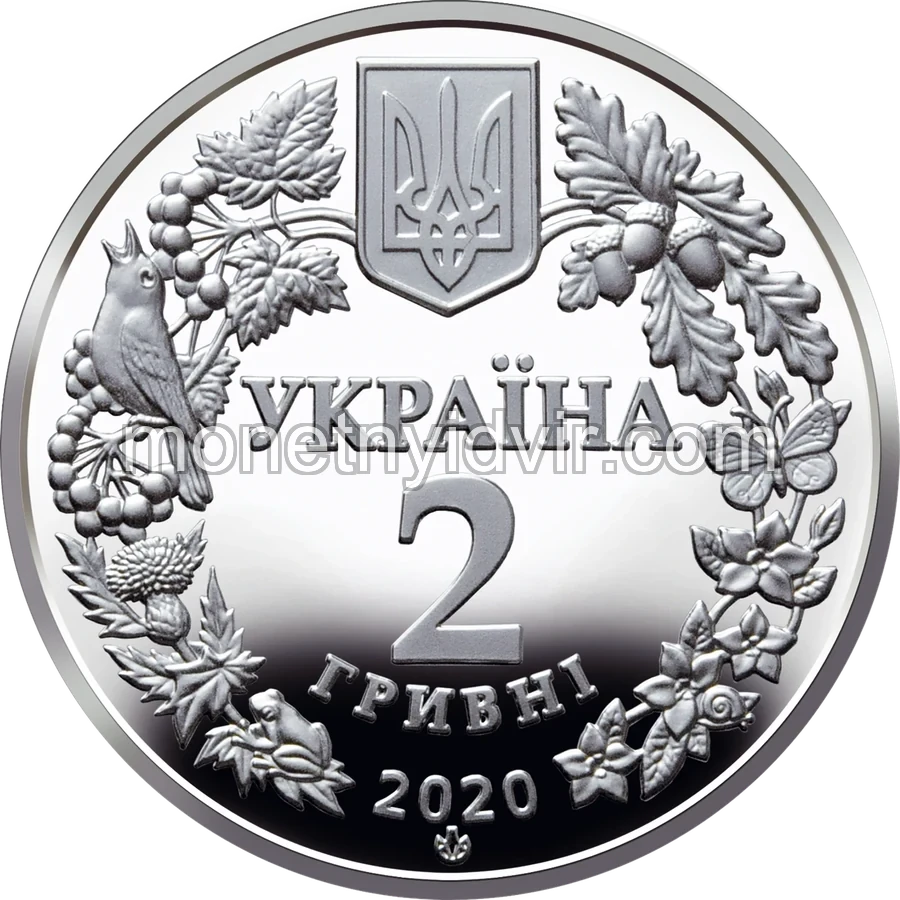 Совка розкішна