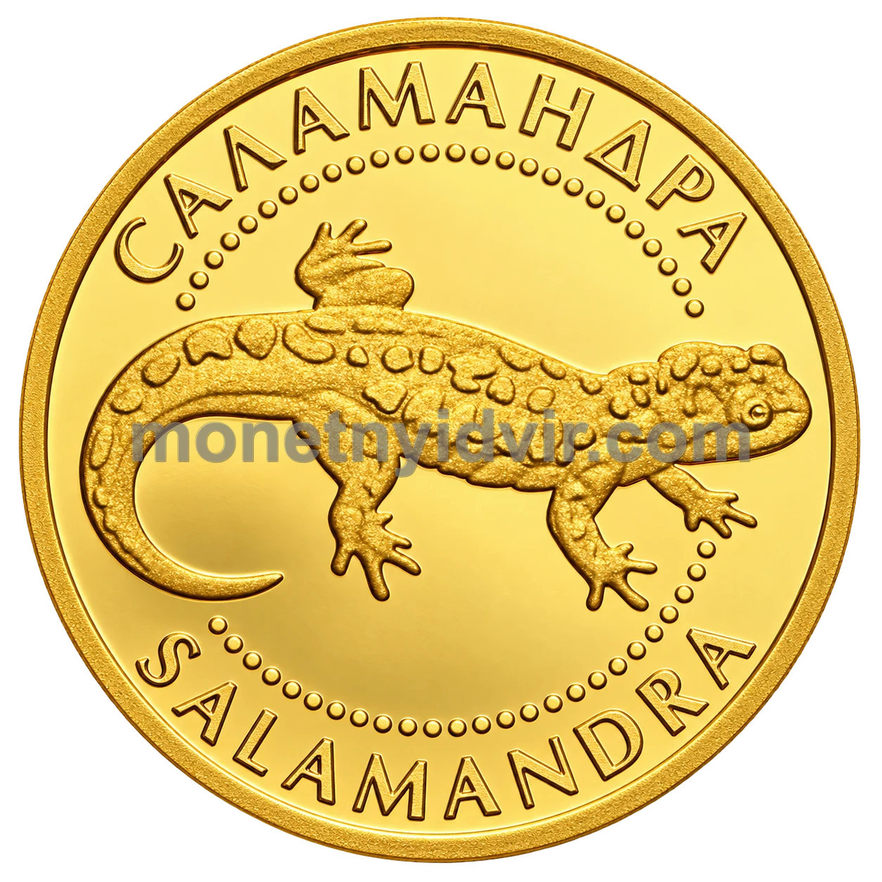 Саламандра